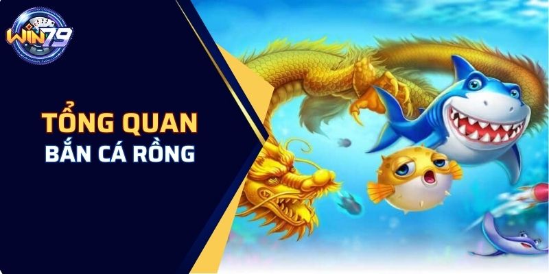 Tổng quan sơ lược về bắn cá rồng